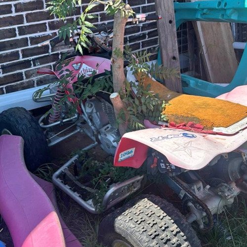 2005 TRX 450 EX Tree Find