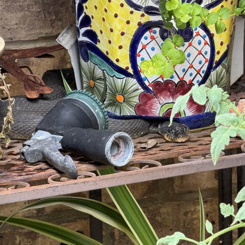 Use WD-40 to repel snakes