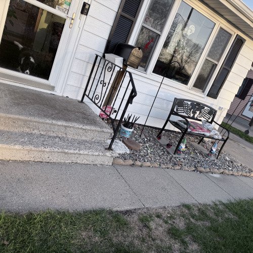 Bug free yard