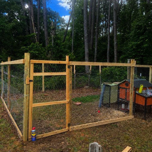 Backyard Chicken Coop & Predator-Proof Run Build
