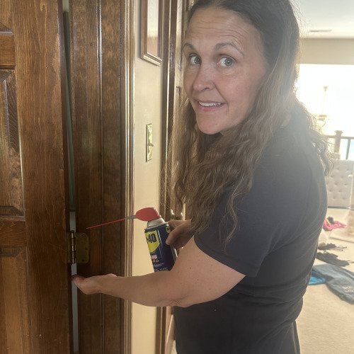 Repair a Squeaky Door Hinge