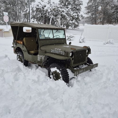 Willys Jeep
